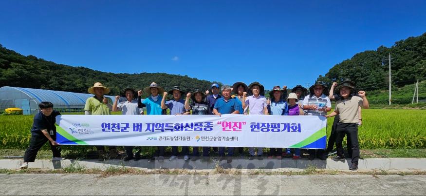 연천군 벼 지역특화신품종 연진 현장평가회 추진 (2).jpeg