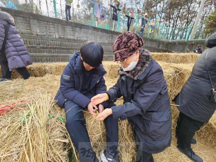 기획보도 사진6_2023 호조벌축제_마을어르신의 도움을 받아 볏짚으로 새끼줄을 만들어본다.jpg