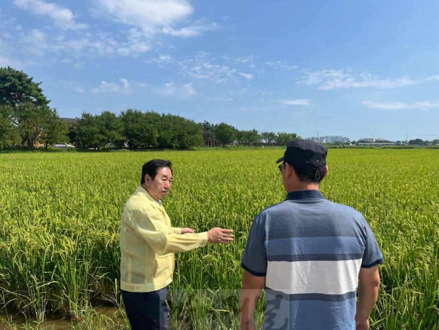 240904 김성남 의원, 평택 가루쌀 생산단지 방문하여 현장점검 및 격려.jpg