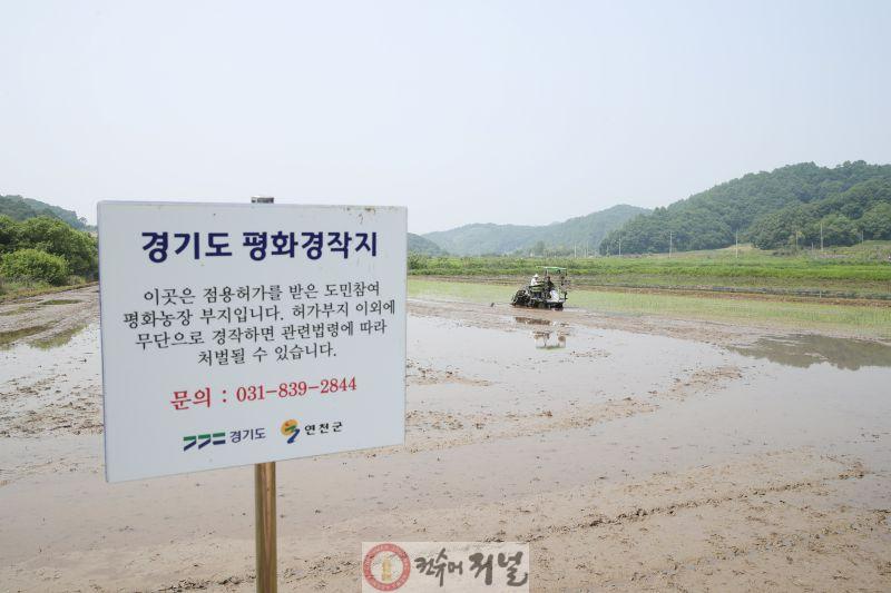 왕징면이장협의회  풍년기원 평화경작지 모내기 행사 개최 (1).jpg
