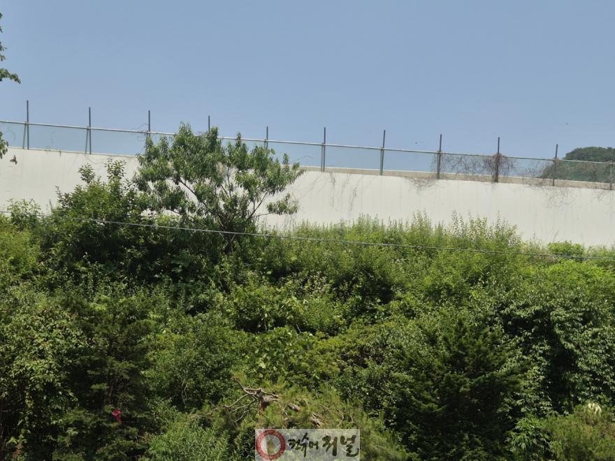 250619 성복임 의원, 영동고속도로 확장공사 구간 장마 대비 점검 (1).jpg