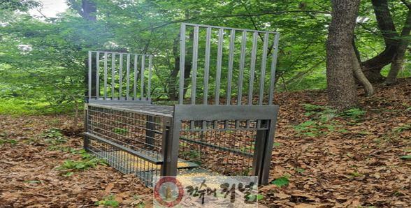 2. 파주시, 대성동 멧돼지 포획틀 설치로 주민 안전 확보 나서.JPG