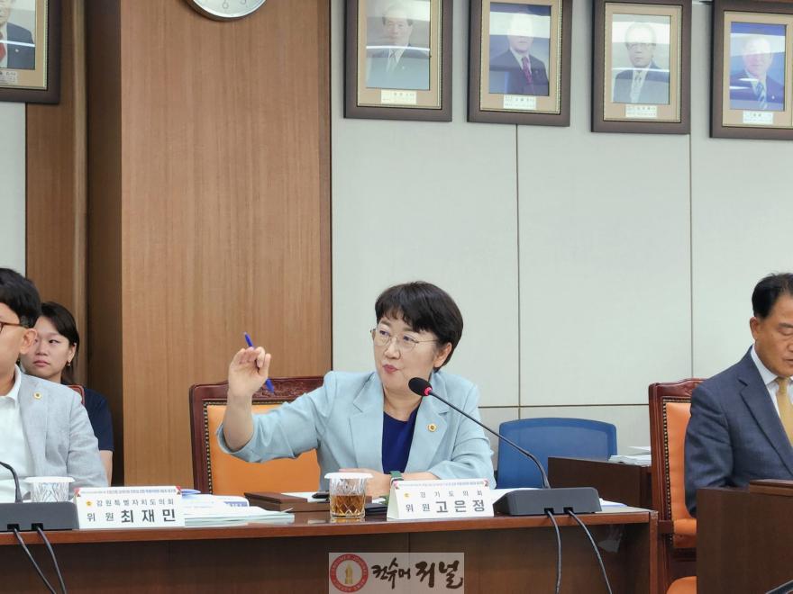 250701 고은정 의원, “지방의회 정책지원 전문성 강화, 시범사업부터 시작해야”(1).jpg