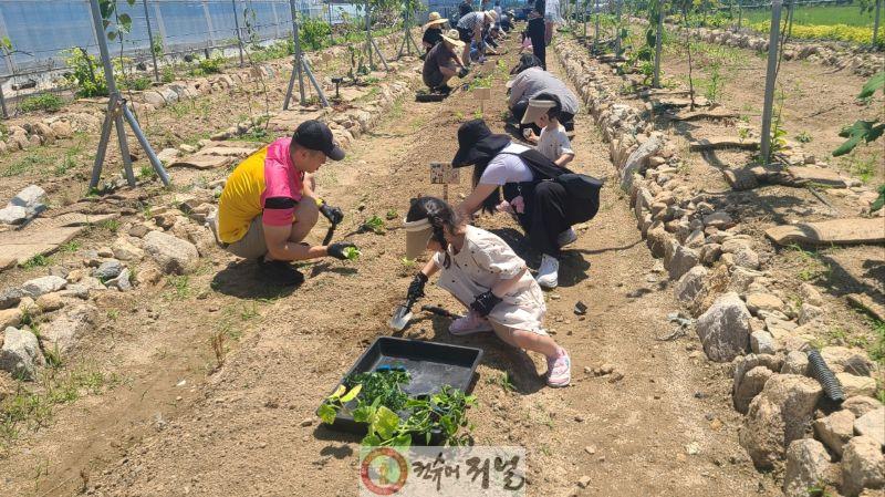 연천군, 농촌치유프로그램 운영.jpg