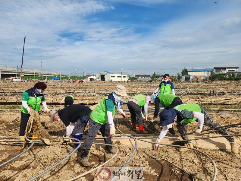 (1-1) 남동구, 자원봉사자와 집중 호우 피해지역 긴급 복구 지원.jpg