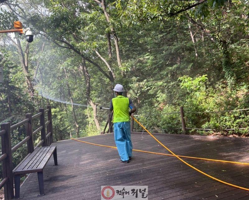 0806 계양구, 계양산‧천마산 산림병해충 선제적 방제 완료 (1).jpg