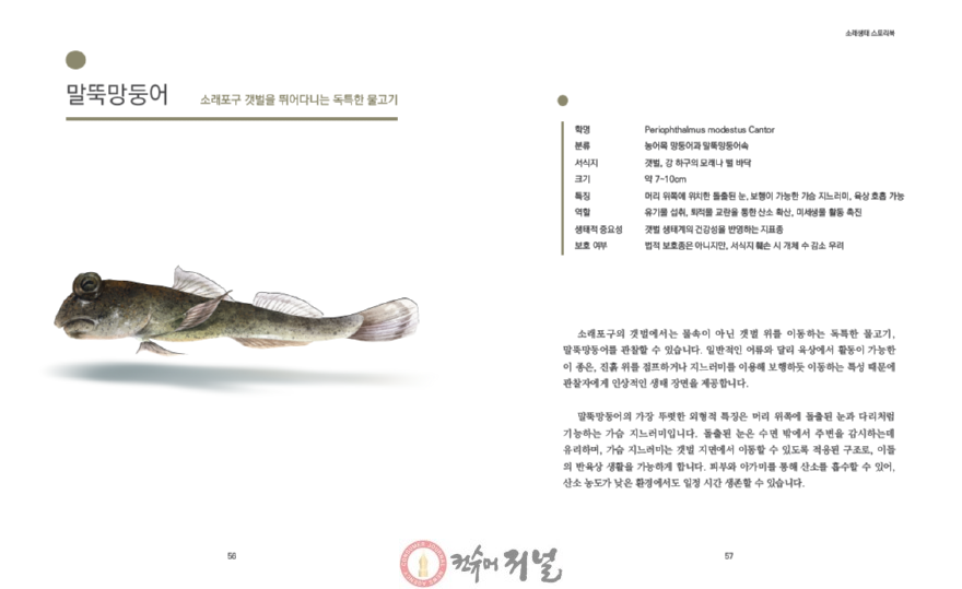 (1-3) 소래생태 스토리북_내지(2).png