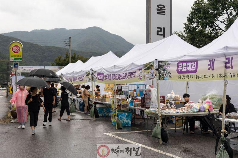 연천군  청정십리길 열두개울상점가 거리축제 성료.jpg