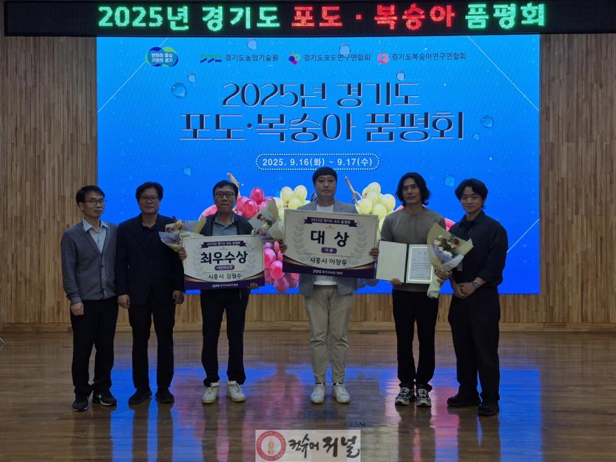 보도자료1 시흥시, 2025년 경기도 포도·복숭아 품평회 3관왕 쾌거.jpg