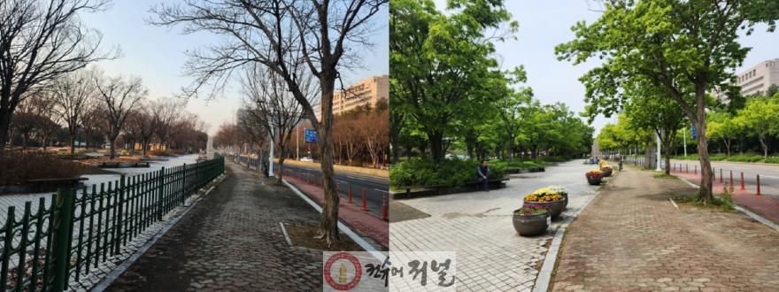 1-5. 일산호수공원 휀스 개방공사 전과 후.jpg