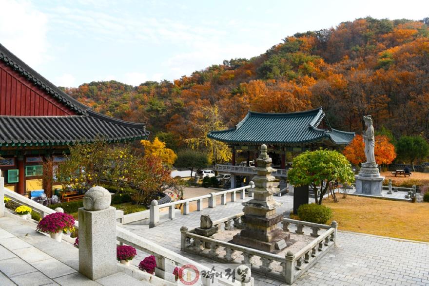 시민소통과(자연과 문화, 역사로 떠나는 의정부 10월 가을 나들이)1-회룡사.JPG