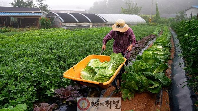 1-1. 파주시 농민 중 판로확보가 절실한 영세소농이 87%에 달한다.jpg