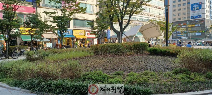 (구와동)4. 고양시 일산서구, 주엽역광장 야생화 식재 도심 경관 개선 (1).jpg