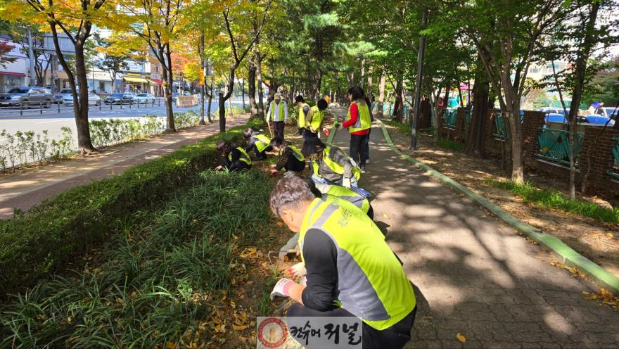 1029 계산4동 주민자치회, 하반기 도시녹화운동 실시 (1).jpg