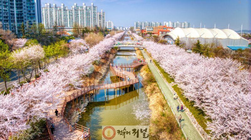 1126 계양구, ‘2025년 특색가로수길 우수기관’ 선정(1)_서부간선로의 봄.jpg