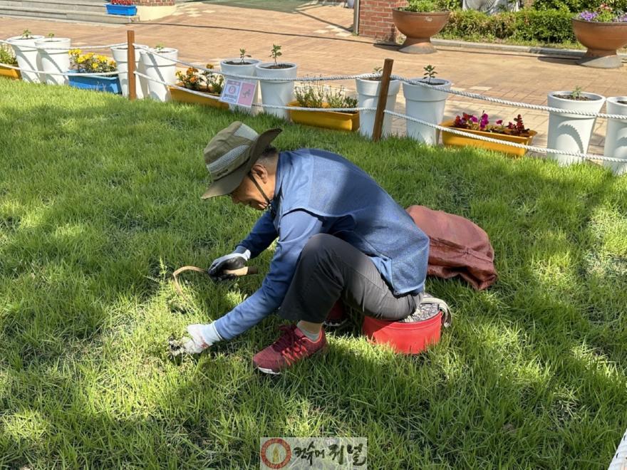 1-8. 노인 시장형 일자리 사업 ‘학교환경관리지원사업’.jpg