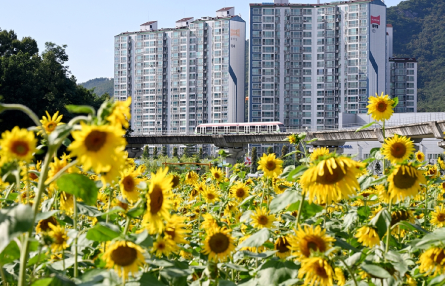 2.시민소통과([기획]의정부시, 우리동네 정책로드맵 ‘신곡2동편’)8-신곡새빛정원.JPG