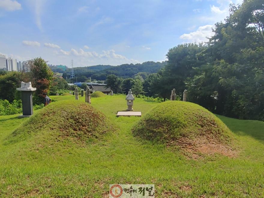 2. 고양시, 향토유산에‘심봉원 묘 및 신도비’ 신규 지정 (2)_청송심씨 문중묘역.jpg