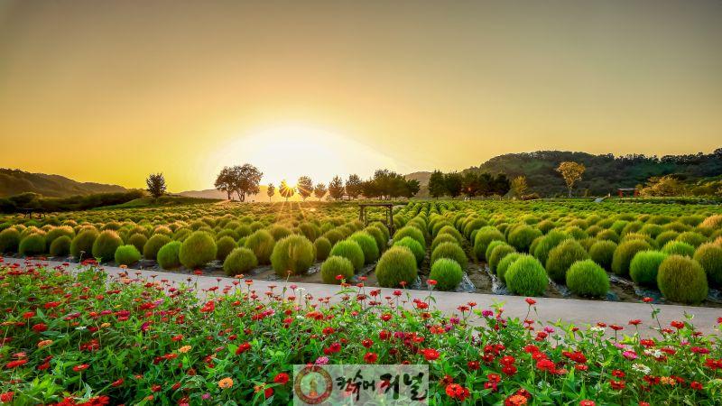 연천군  ‘접경지역 발전 유공’ 국무총리 표창 수상(임진강 댑싸리정원 사진).jpg