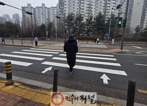 3. 파주시, 교통 특성 반영한 신호체계 개선 추진_횡단보도 건너는 사진.jpeg