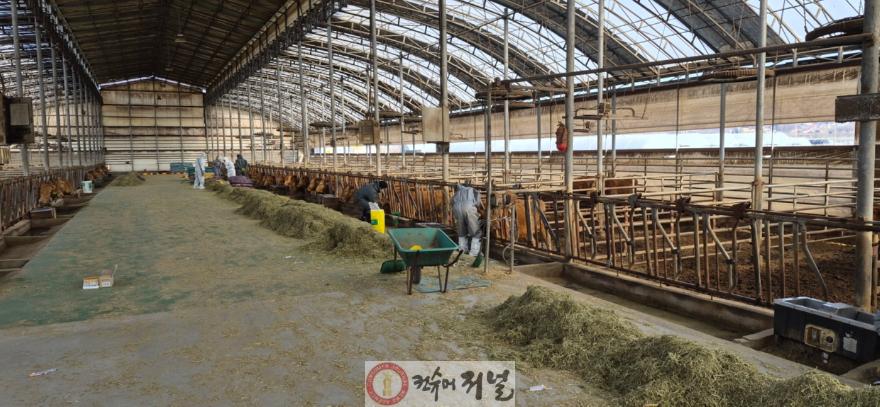 고양시, 두 번째 구제역 발생…확산 차단 총력(1).jpg