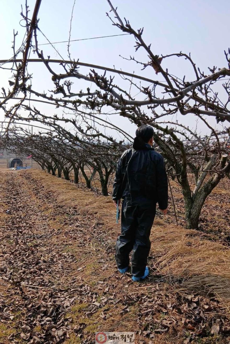 과수화상병 예찰 활동 모습.jpg