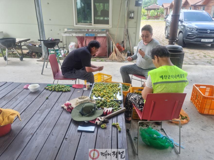 8.살아보기 참가자 영농실습 및 교육 모습 (2).jpg
