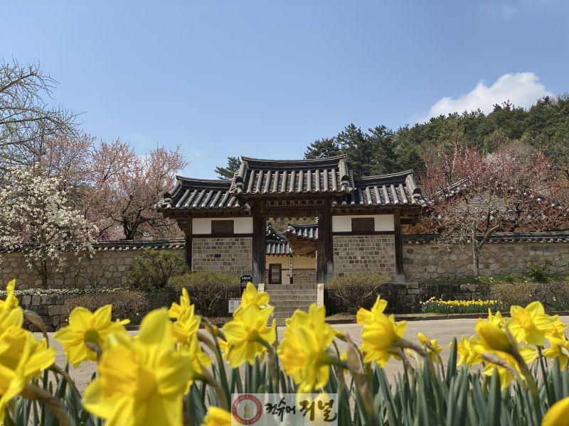 1.추사고택 전경 (1).jpg