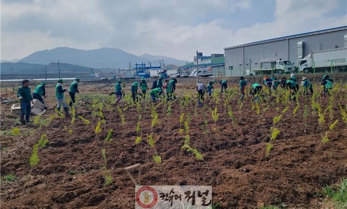 예산읍 궁평리 소나무 식재 활동 모습.jpg