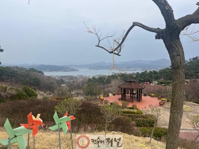 6.봉수산자연휴양림 봄꽃 사진 (2).jpeg