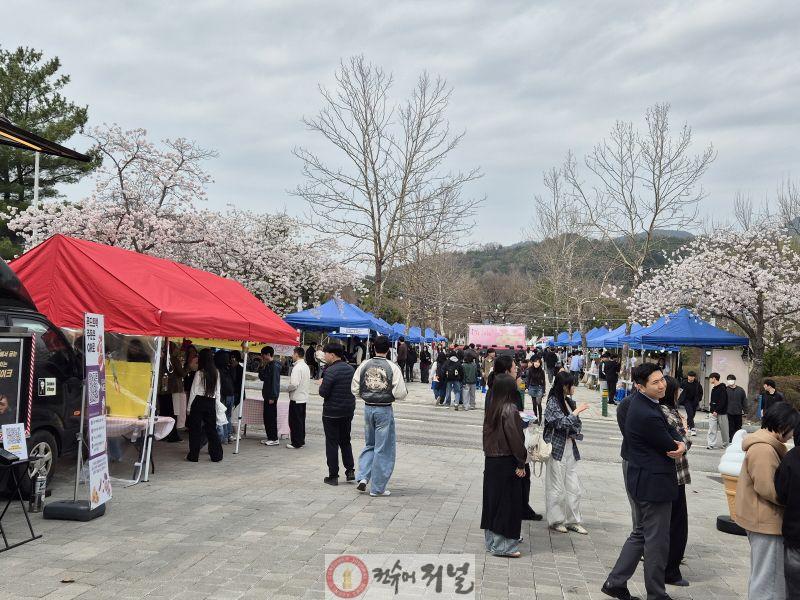 3.국립공주대 예산캠퍼스 벚꽃 축제 모습 (2).jpg
