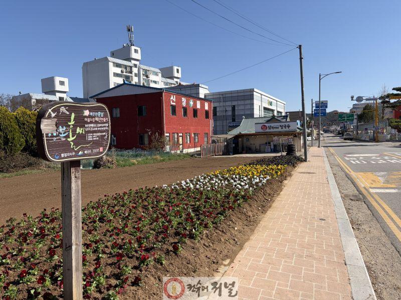 9.신양면 새마을협의회 꽃 심기 행사 모습 (4).jpg