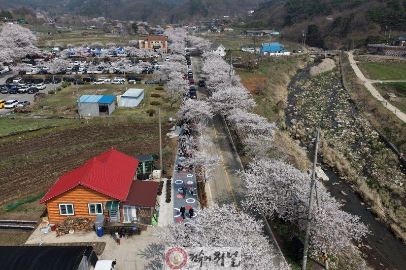 2.내포 가야산 봄맞이 걷기행사 사진 (4).jpg