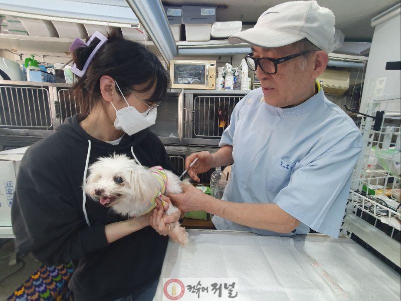0416 계양구, 2026년 춘계 광견병 예방접종 실시 (1).jpg