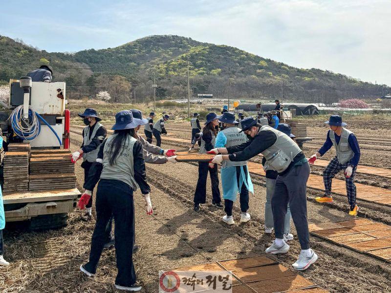 별첨3_합동봉사단 농촌 봉사활동.jpg