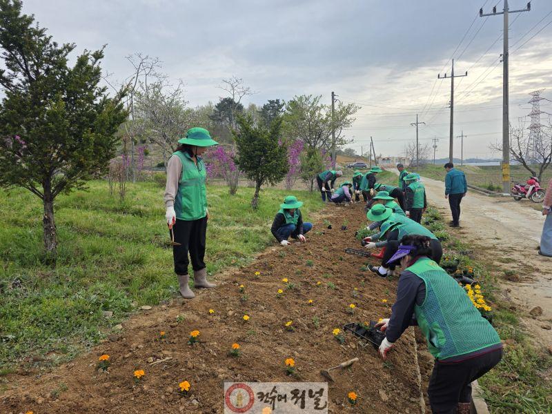 13.봉산면 새마을회 봄꽃 식재 사진 (2).jpg