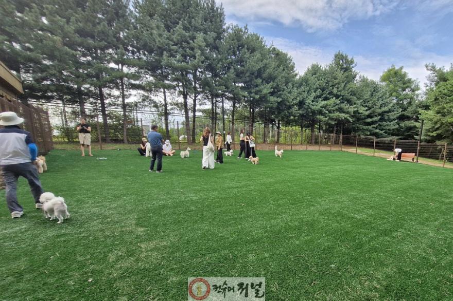 1. 고양시, ‘동물교감치유’ 도시로 (6) 정발산 반려견 놀이터.jpg