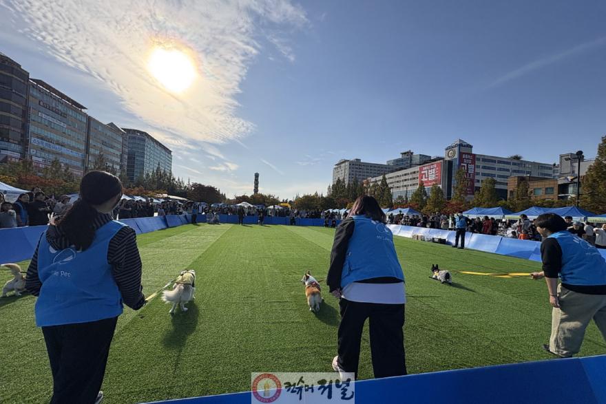 1. 고양시, ‘동물교감치유’ 도시로 (8) 반려견 달리기 대회.jpg