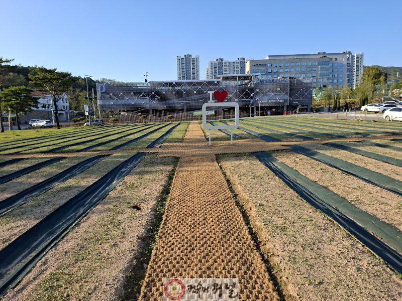 4.2025년도 국화원 조성 현장 모습 (2).jpg