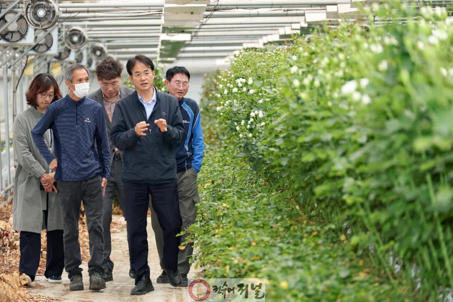 1. 고양시, 고품질 장미 재배 농가 방문…화훼 산업 경쟁력 확인 (3).jpg