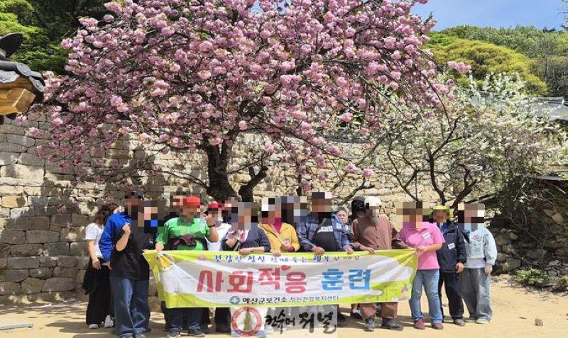 5.개심사 벚꽃 나들이 모습.jpg