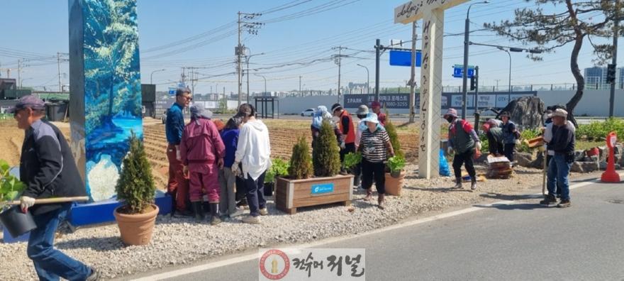 11-2. 파주시 교하 서패동, 돌곶이 마을정원 수국·꽃 잔디로 활짝!.jpg