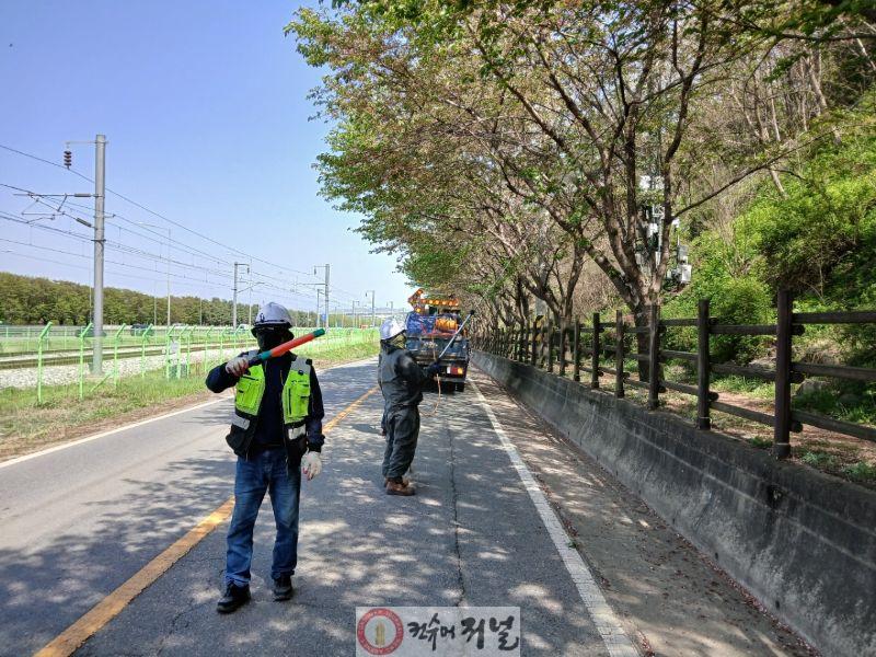 0507 계양구, 공원녹지산림 수목 병해충 방제 나서(1).jpg