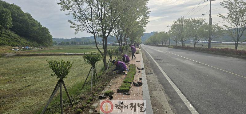 7.대술면 주민자치위원회 환경개선 활동.jpg