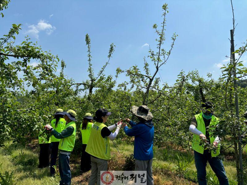 농촌일손돕기(세무과).jpg