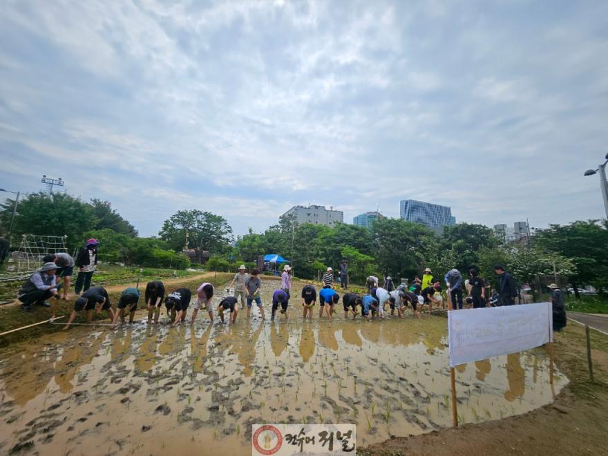 2-2. 모내기체험.jpg