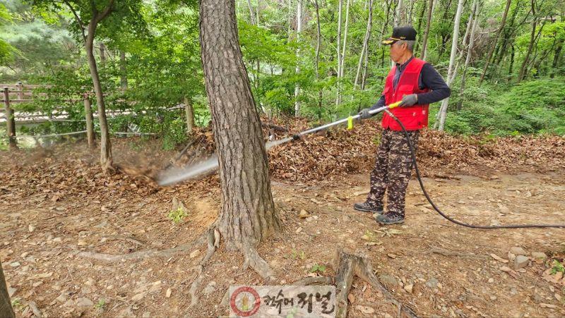 0527 계양구, 러브버그 대발생 대비 집중 방제... 계양산·천마산 전역 대응 강화 (1).jpg