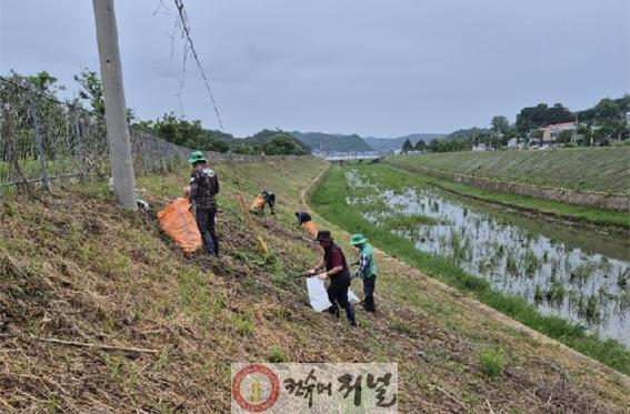 3.백학면 새마을지도자협의회, 임진강 둑방 길 환경정화 봉사활동 실시.jpg