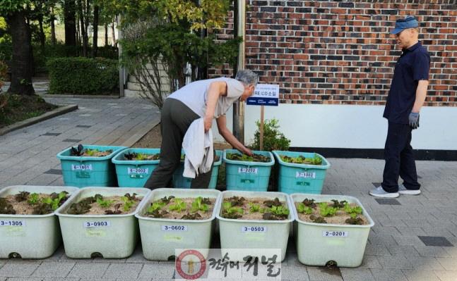 1. 고양시, 지속가능한 치유농업 모델 조성 (5) 리코소일을 활용 치유텃밭(강선19단지 경로당).jpg
