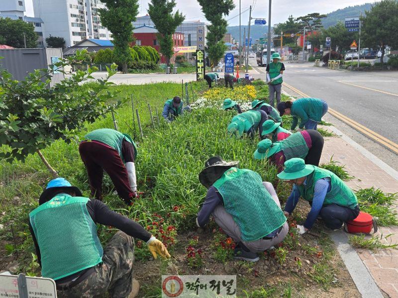 5.신양면 새마을협의회 제초 작업 모습 (2).JPG